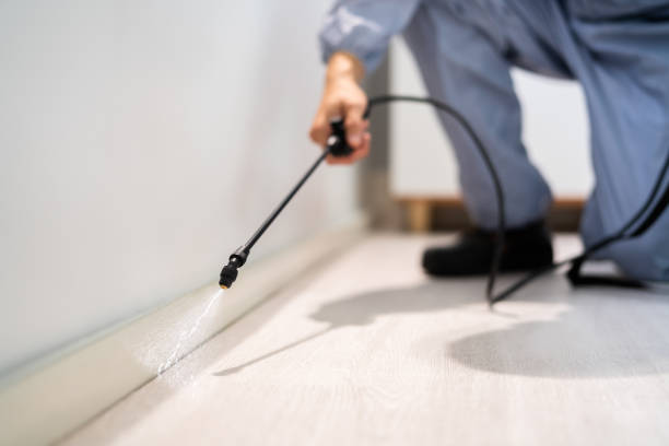 Licensed Termite Control service in Round Lake, IL - Nex Pest Control