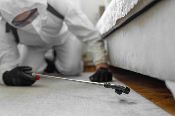 Professional Termite Control technician working in Round Lake, IL