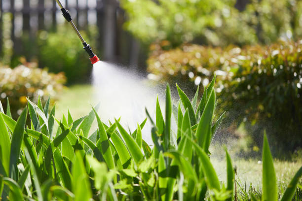 24/7 Emergency Termite Control experts in Round Lake, IL
