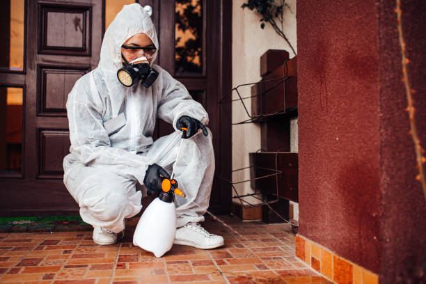 Reliable Termite Control contractor in Round Lake, IL by Nex Pest Control