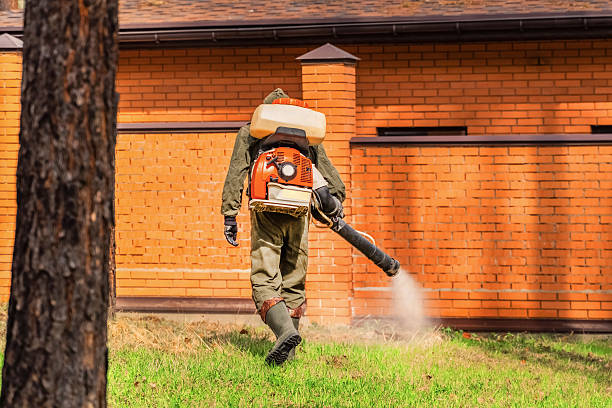 Trusted Bed Bug Control service in Round Lake, IL - Nex Pest Control